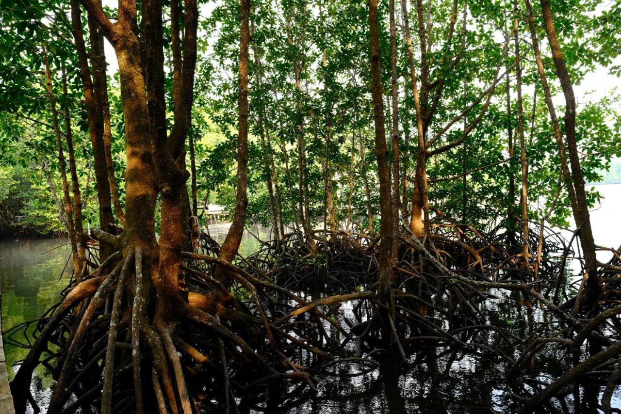 Thansur Tatai Eco Resort Eksteriør bilde